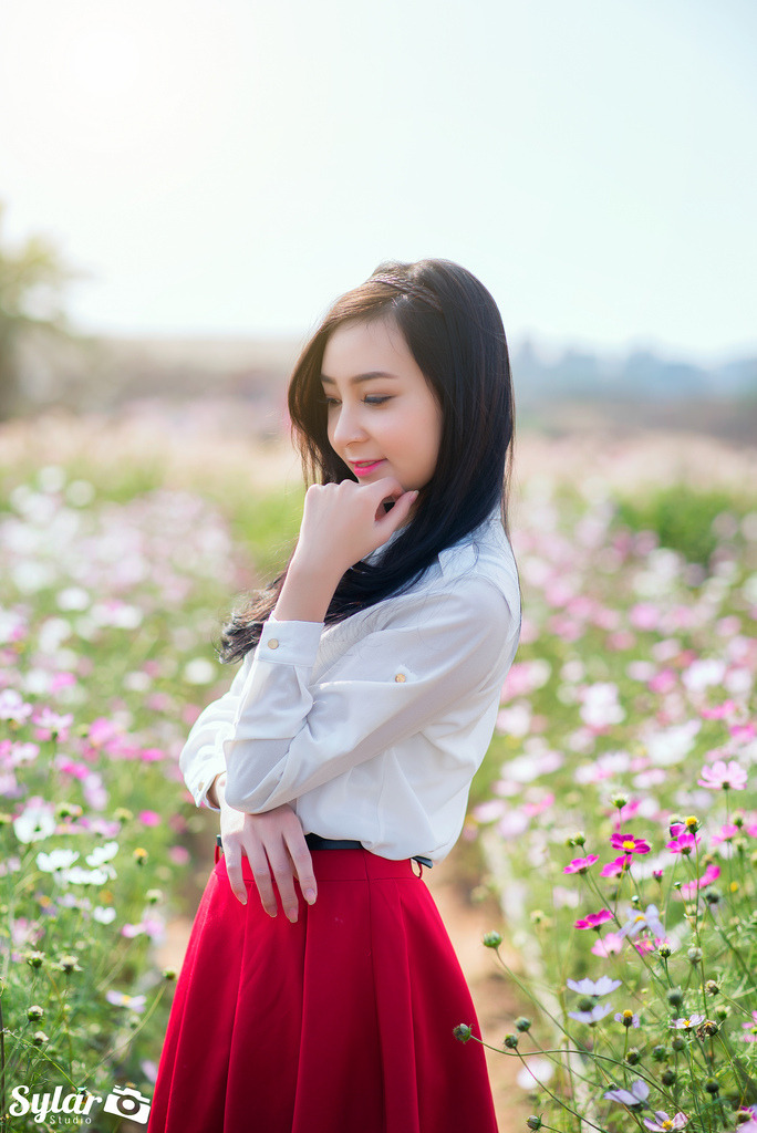 不能没有娘电视剧免费观看